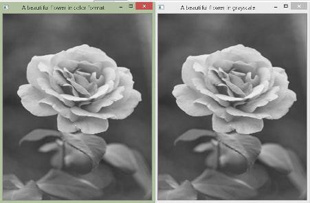 rose gray scale, color conversion