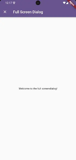Flutter Full Screen